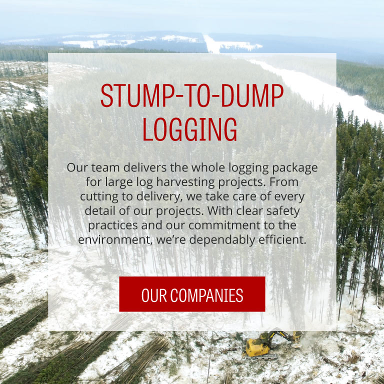 FTen La Crete, Alberta - Stump to Dump Logging